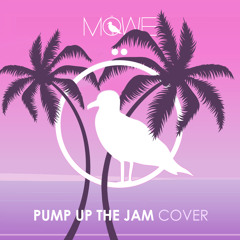 Pump Up The Jam (MÖWE Cover)