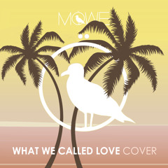 What We Called Love (MÖWE Cover)