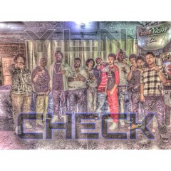 YLN - Checks