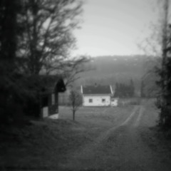 Limitless Love (Original Mix)