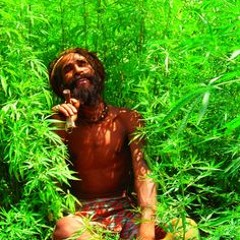 Fortunate Youth - Farmer (Physix Bootleg)(Clip)