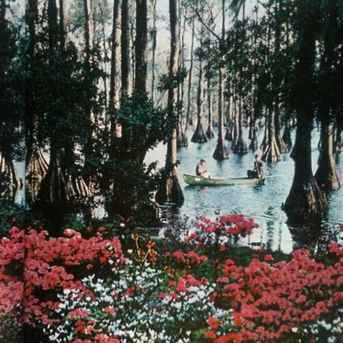 canoe