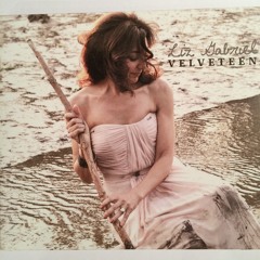 Velveteen / Liz Gabriel