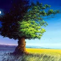 We're Still Sleeping...