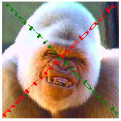 Sounds From Wednesday 2