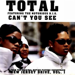 Total - Cant You See (Left Lane Remix)