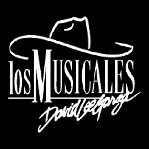 Stream David Lee Garza Y Los Musicales - Traigan Mas Botellas by elwebman |  Listen online for free on SoundCloud