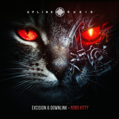 Excision & Downlink - Robo Kitty