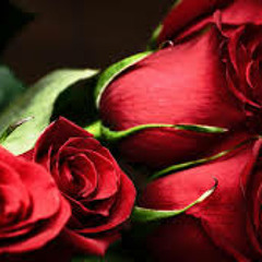 Tum Mere Hi Rehna OST Song HUM TV Drama - (4songs.PK)