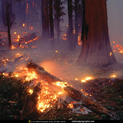 I Let It Burn (section 1)