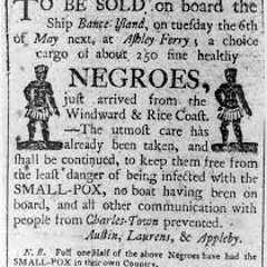 Who the Fuck is These Niggas Ft Trap 6