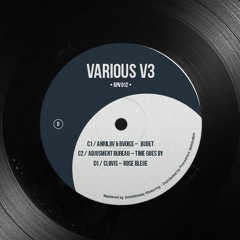 [BPV012] D1. Clovis - Rose Bleue