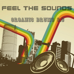 Organic Drums 3.0