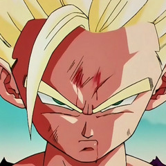 Listen to A Dragon Ball Z Budokai 3 Hyperbolic Time Chamber by Candy  Chicken in DBZ playlist online for free on SoundCloud