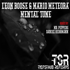 Leon Boose - Mental Tune (Daniel Herrmann Remix) Preview || Out now @ Tiefstaub Records
