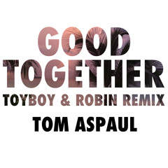 Premiere: Tom Aspaul - Good Together (Toyboy & Robin Remix)