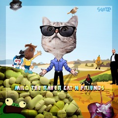 Surce - Milo the raver cat & friends