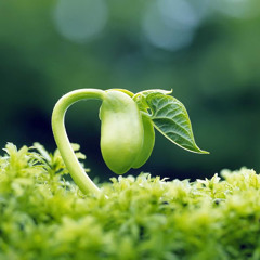 I troll & General Mufaya & Unidub Estereo - Come to me (Raw version)