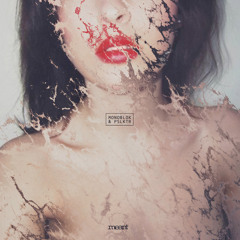 Premiere: Monoblok&PSLKTR - Walking Disaster (Original Mix)- Meant