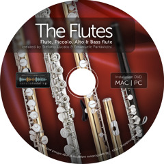 Samplemodeling - The Flutes