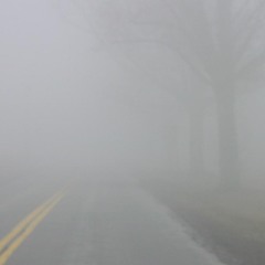 The Fog - Yaw G