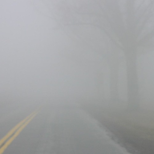 The Fog - Yaw G