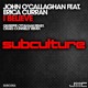 on John O&#x27;Callaghan feat. Erica Curran - I Believe (Craig Connelly Remix)