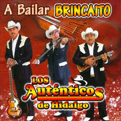 TRIO AUTENTICOS Como Quieres Que Te Quiera