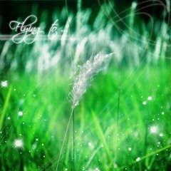 Hãy Để Tình Ngủ Say - Trịnh Gia Hân