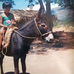 8 - MIGUEL COUTO - RESPIRA - ROOTS VERSION
