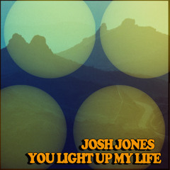 You Light Up My Life