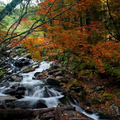 Jose Gonzales - Heartbeats Filous&Mount (Remix) Demo