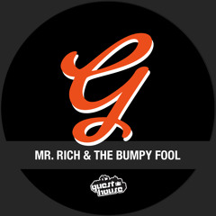 Mr Rich & The Bumpy Fool - Sounds Kinda Funky