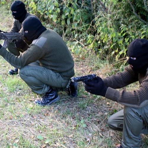 The Rifles Of The IRA