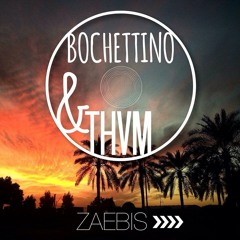 Bochettino & THVM - Zaebis