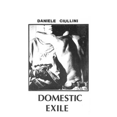 Daniele Ciulini - Lipstick On The Glasses (Ecstatic)