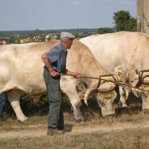 Valse du mois d'Avril