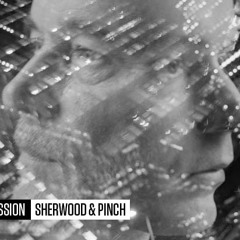 In Session: Sherwood & Pinch