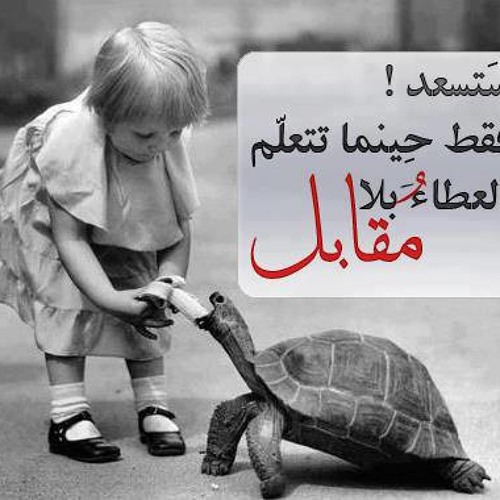 أبونا بافلوس - العطاء