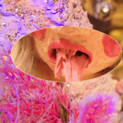 The Most Beautiful Girl In Town