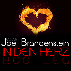 Joel Brandenstein - In Dein Herz (Kleeberg Bootleg)|facebook.com/kleebergmusik