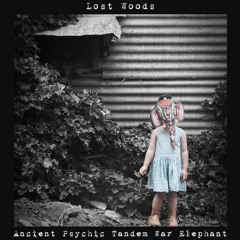 LOST WOODS - Ancient Psychic Tandem War Elephant