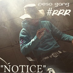 Peso Gang - Notice