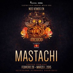 Road To EDC 2015(Mastachi Groove Mix)