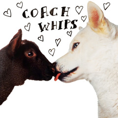 Coachwhips - You Gonna Get It