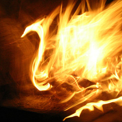 Dominik - dark calm (rise of the fire swan)