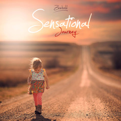 Sensational Journey (Deep House) FREE DOWNLOAD ♫