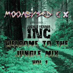WELCOME TO THE JUNGLE VOL 1 (Mix)