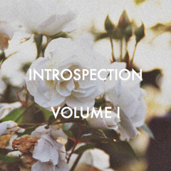 INTROSPECTION VOL I
