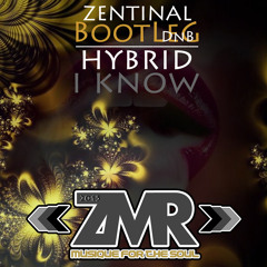 I KNOW - HYBRID (ZENTINAL #DNB BOOTLEG #FREEDOWNLOAD)